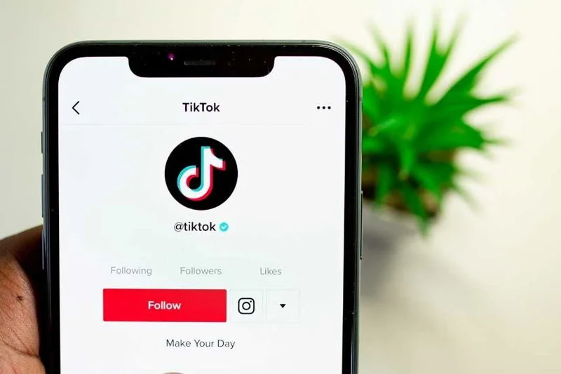 Cara Mengganti Nama Akun dan Username TikTok